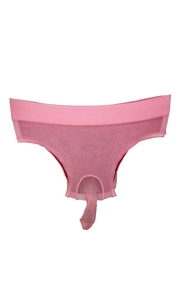 Men Nylon Sheer Underwear Thong Closed Sheath Men Nylon Sheer Underwear Thong Closed Sheath