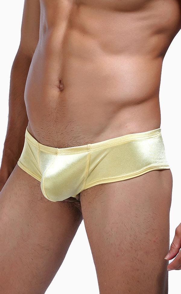 Glossy Micro Shaped Trunk with Pouch Glossy Micro Shaped Trunk with Pouch