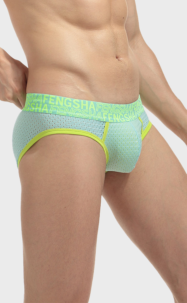 Semi Sheer Fashion Mesh Briefs for Men Semi Sheer Fashion Mesh Briefs for Men