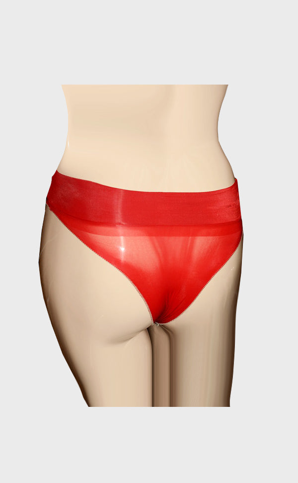 Sheer Glossy Pantyhose Briefs Sheer Glossy Pantyhose Briefs