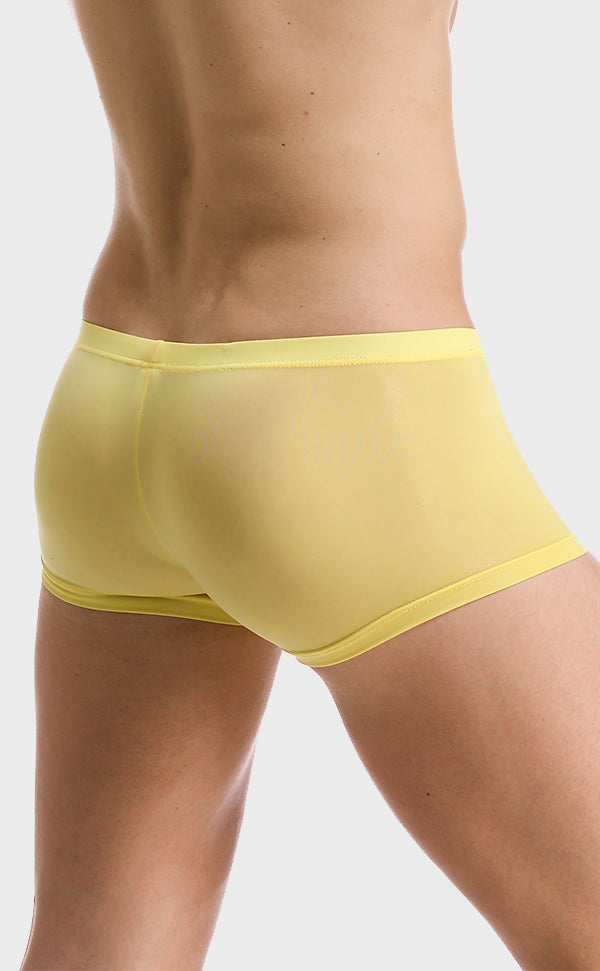 Ice Silk Soft Sexy Trunk for Men Ice Silk Soft Sexy Trunk for Men