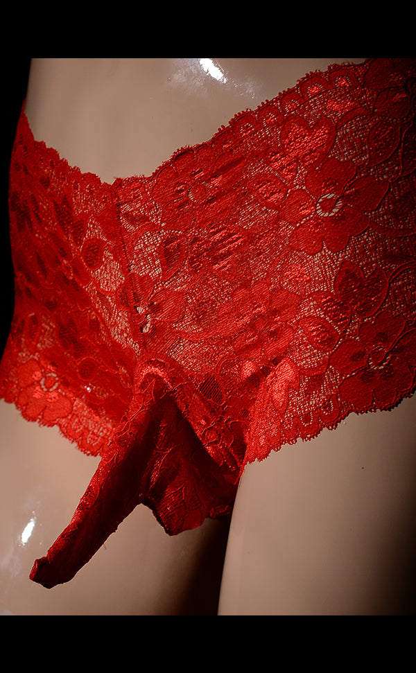 Men’s Soft Lace Sexy Trunks with Sheath Open Men’s Soft Lace Sexy Trunks with Sheath Open