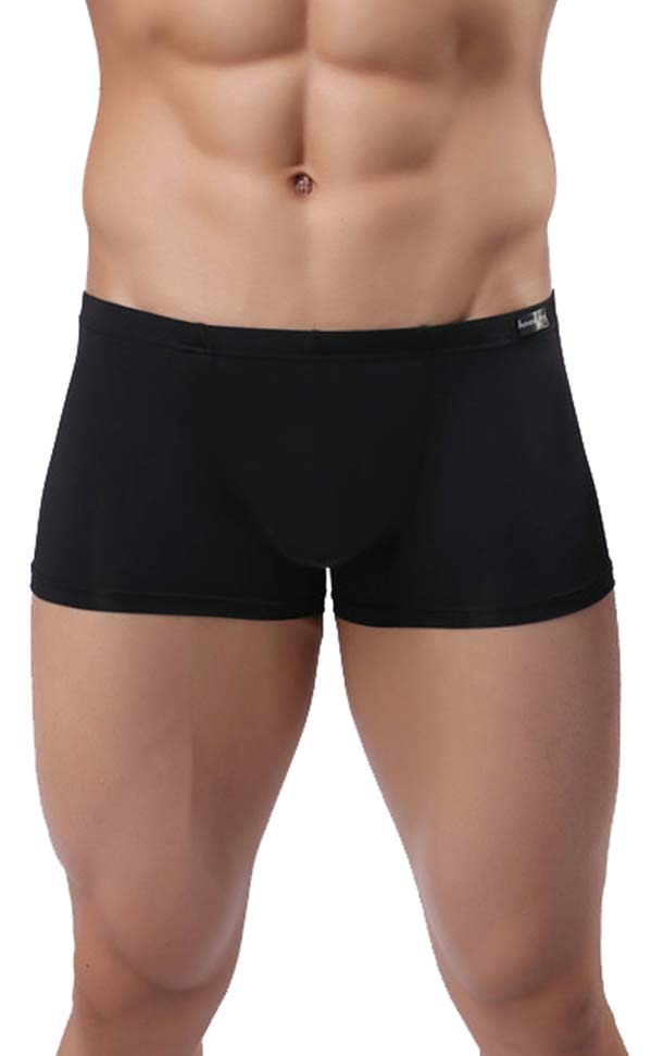 Men's Wide Waistband Gloss Sexy Trunk Men's Wide Waistband Gloss Sexy Trunk