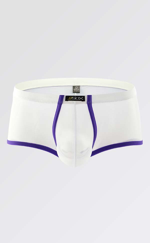 Men's See Through Mesh Trunks Men's See Through Mesh Trunks