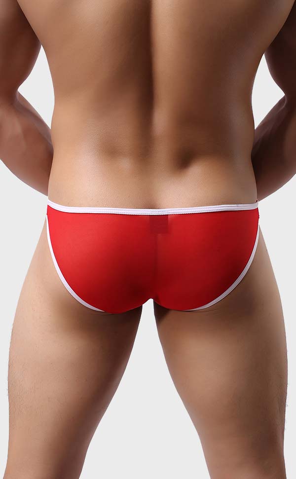 Men's Mesh Bikini with Sheath Men's Mesh Bikini with Sheath