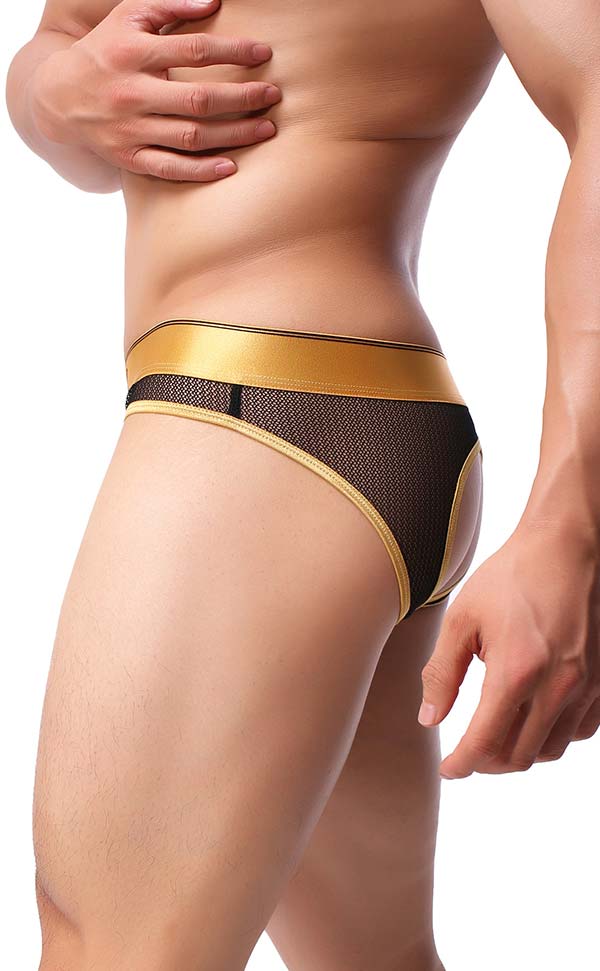 Men's Sex Mesh Wide Waist Cut Out Bikini Men's Sex Mesh Wide Waist Cut Out Bikini