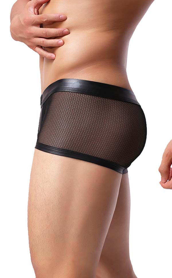 Men's Mesh U-Shape Trunks Men's Mesh U-Shape Trunks