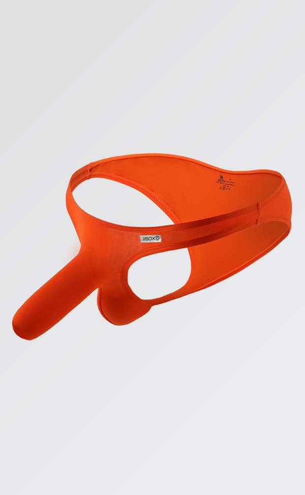 Silky Nylon Solid Color Briefs with Sheath Silky Nylon Solid Color Briefs with Sheath