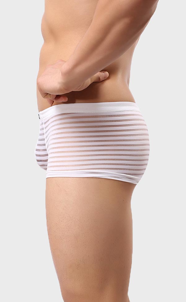 Men’s Sheer Stripe Mesh Trunk Men’s Sheer Stripe Mesh Trunk