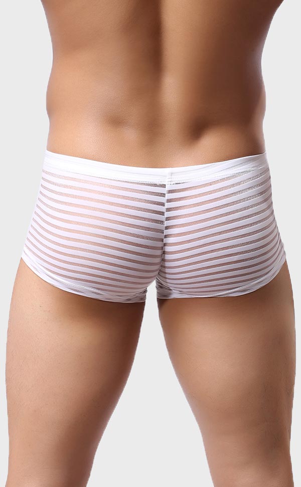 Men’s Sheer Stripe Mesh Trunk Men’s Sheer Stripe Mesh Trunk