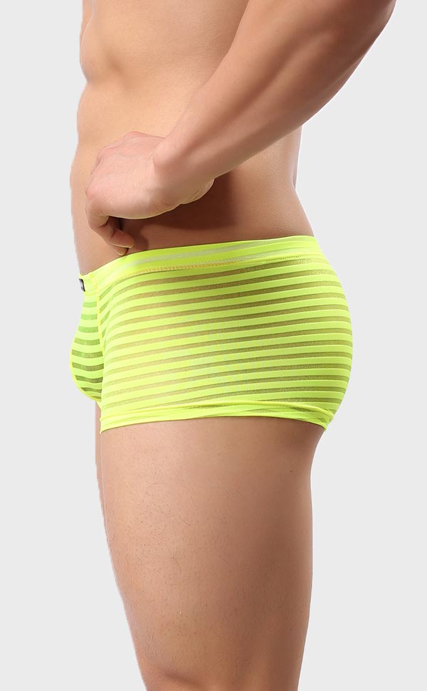 Men’s Sheer Stripe Mesh Trunk Men’s Sheer Stripe Mesh Trunk