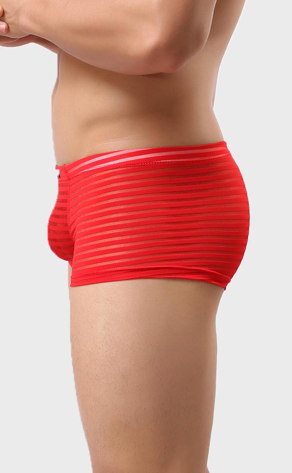 Men’s Sheer Stripe Mesh Trunk Men’s Sheer Stripe Mesh Trunk
