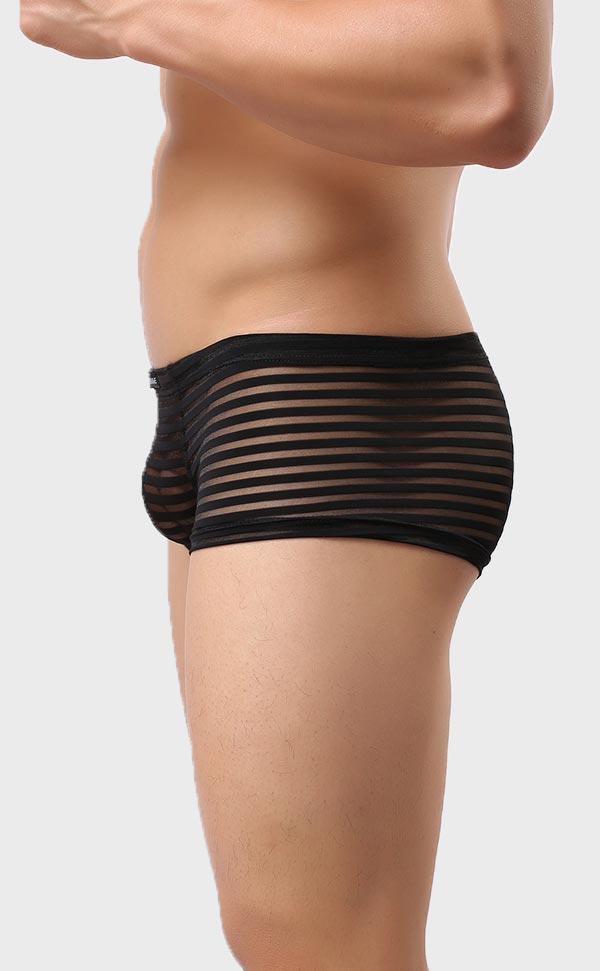 Men’s Sheer Stripe Mesh Trunk Men’s Sheer Stripe Mesh Trunk