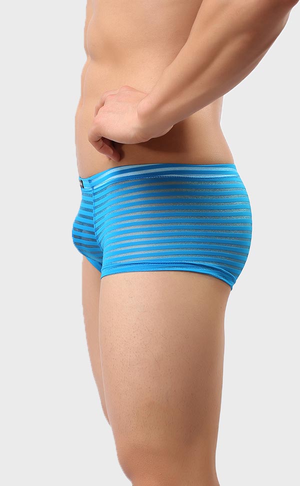 Men’s Sheer Stripe Mesh Trunk Men’s Sheer Stripe Mesh Trunk