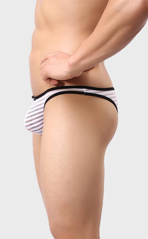 Men’s Sheer Stripe Mesh Bikini Men’s Sheer Stripe Mesh Bikini