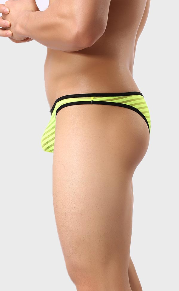 Men’s Sheer Stripe Mesh Bikini Men’s Sheer Stripe Mesh Bikini