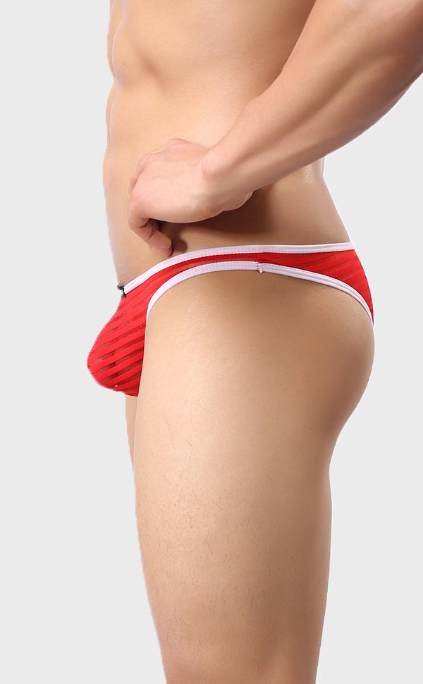 Men’s Sheer Stripe Mesh Bikini Men’s Sheer Stripe Mesh Bikini