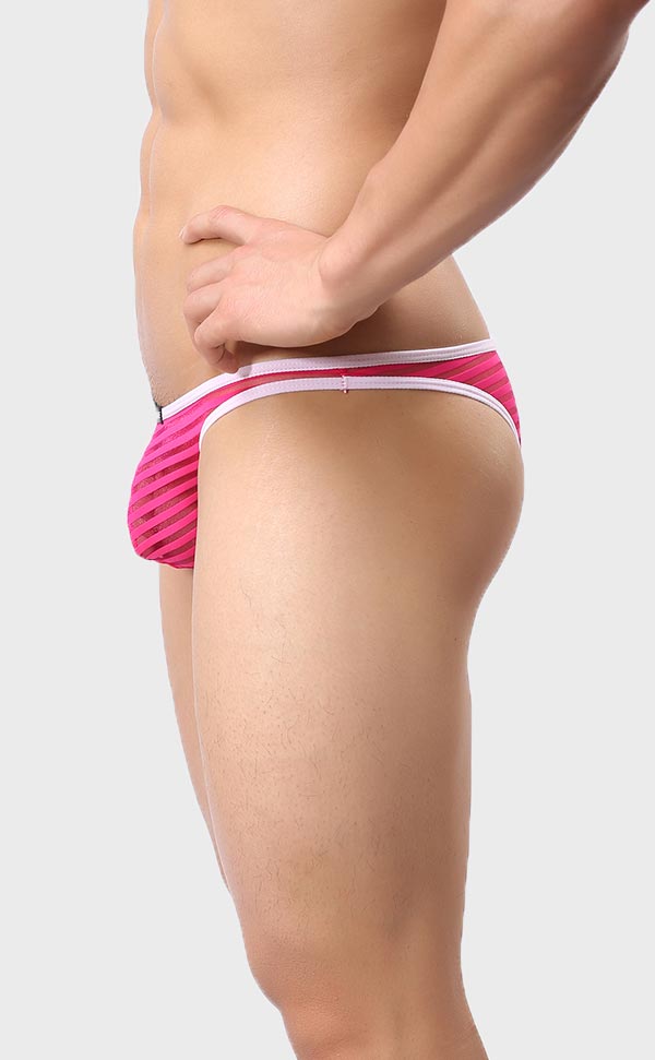 Men’s Sheer Stripe Mesh Bikini Men’s Sheer Stripe Mesh Bikini