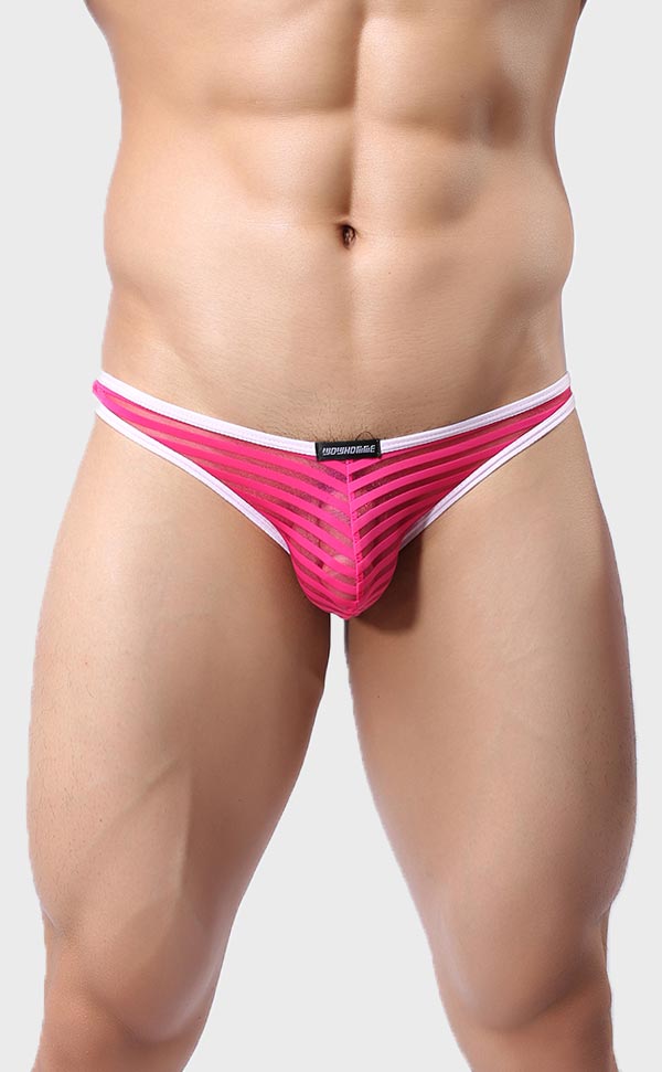 Men’s Sheer Stripe Mesh Bikini Men’s Sheer Stripe Mesh Bikini