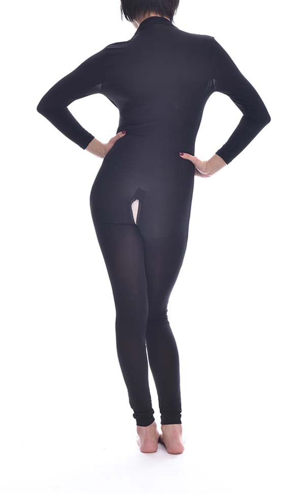 Sheer Long Sleeve Jumpsuit Sheer Long Sleeve Jumpsuit