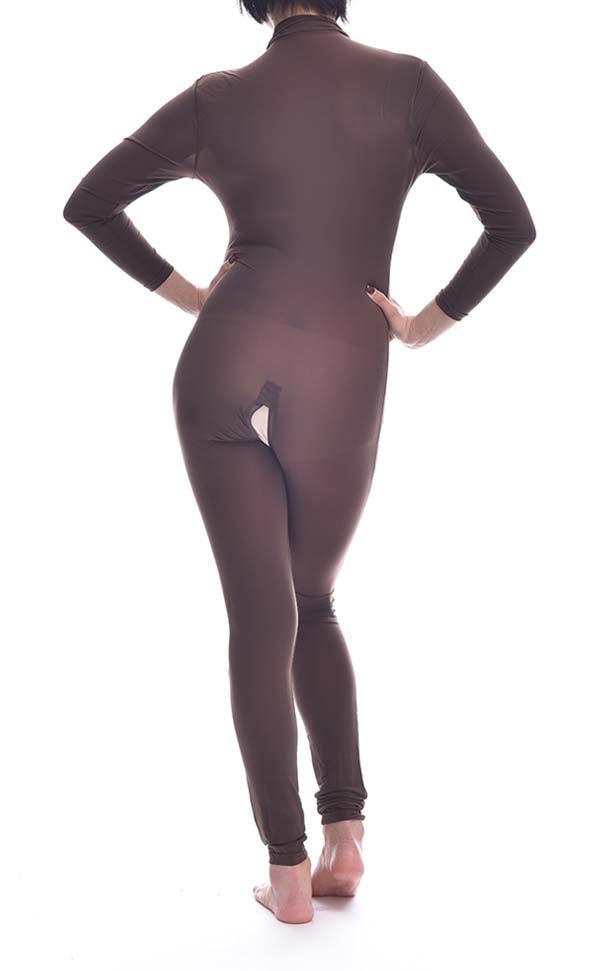 Sheer Long Sleeve Jumpsuit Sheer Long Sleeve Jumpsuit