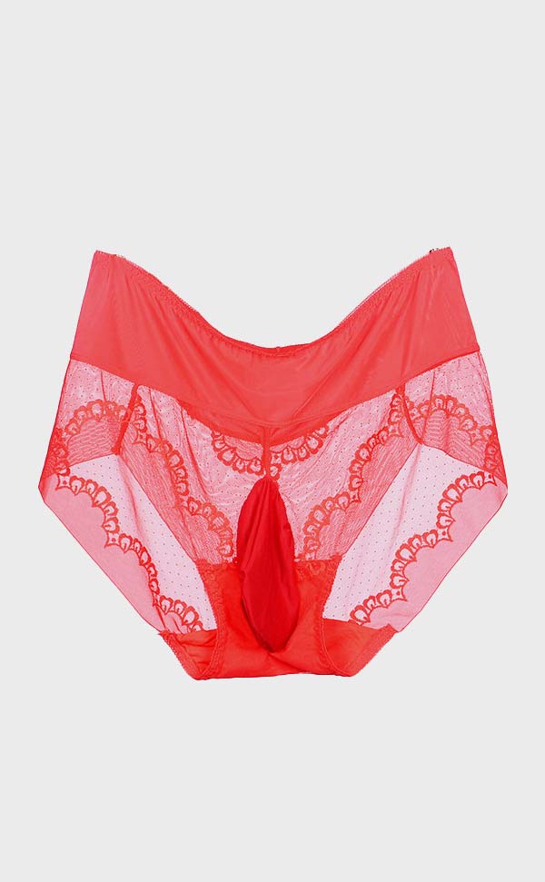 Lace Mesh Large Briefs with Pouch Lace Mesh Large Briefs with Pouch