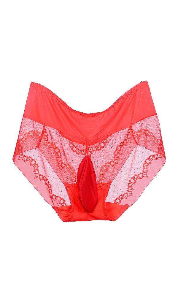 Lace Mesh Large Briefs with Pouch Lace Mesh Large Briefs with Pouch