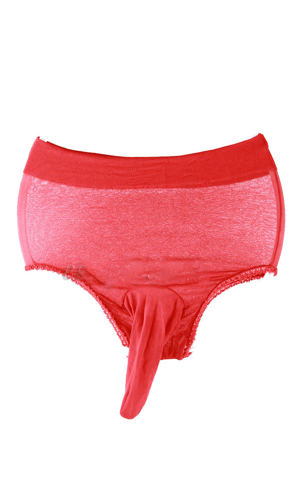 Men Nylon Sheer Underwear Thong Closed Sheath