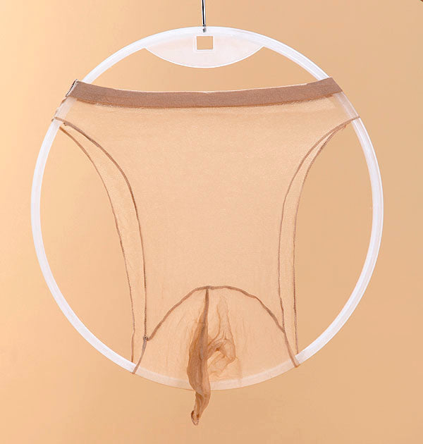 Seamless Sheer Nylon Briefs with Pouch and Panel