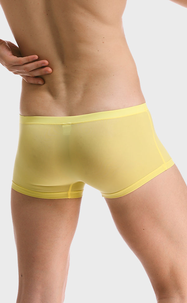 Men’s Ultra-Thin Ice Silk Trunk