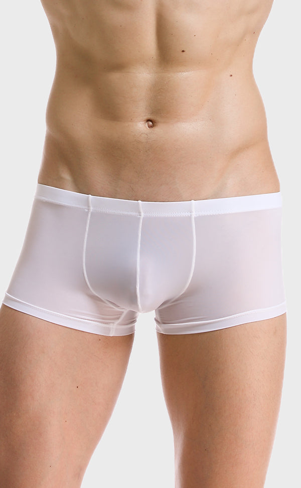 Men’s Sheer U-shape Ice Silk Trunk