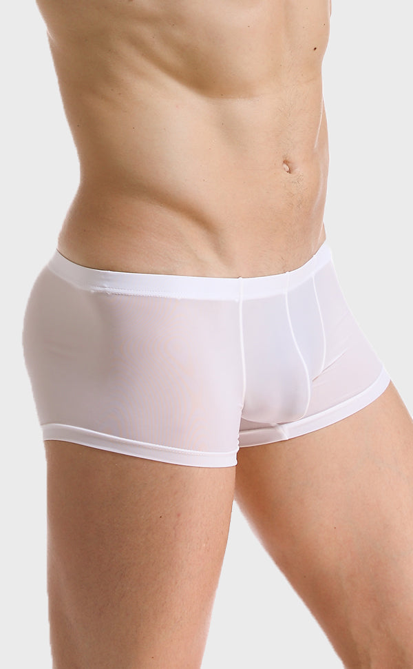 Men’s Sheer U-shape Ice Silk Trunk