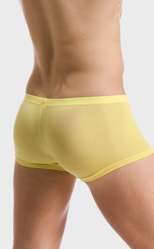 Men’s Sheer U-shape Ice Silk Trunk