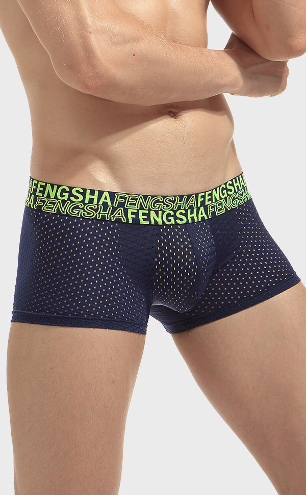 Semi Sheer Fashion Mesh Trunk for Men