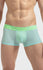 Semi Sheer Fashion Mesh Trunk for Men