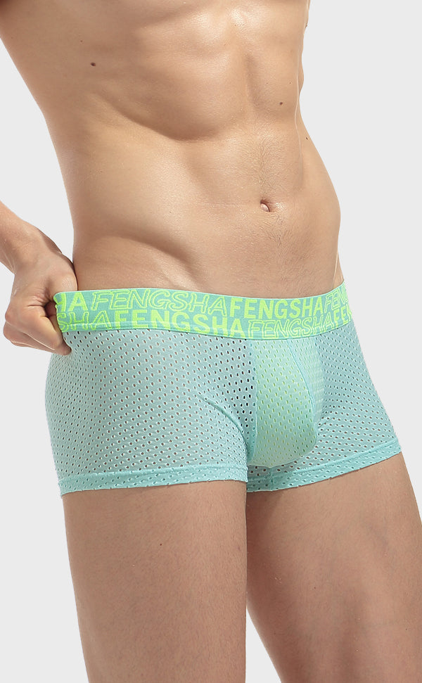 Semi Sheer Fashion Mesh Trunk for Men