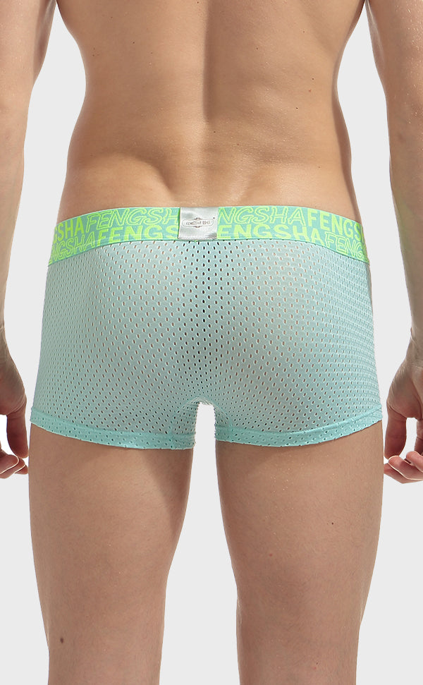 Semi Sheer Fashion Mesh Trunk for Men