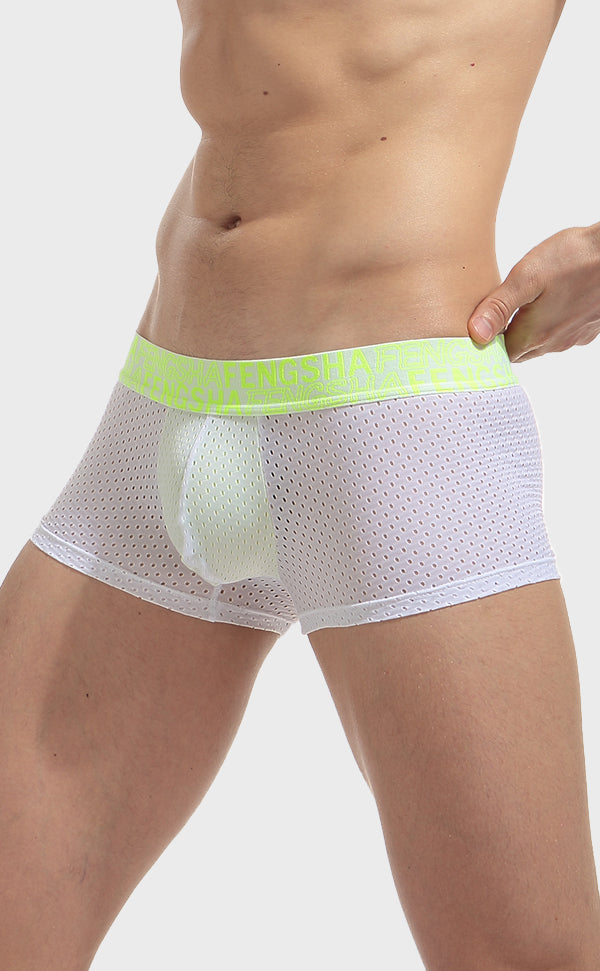 Semi Sheer Fashion Mesh Trunk for Men