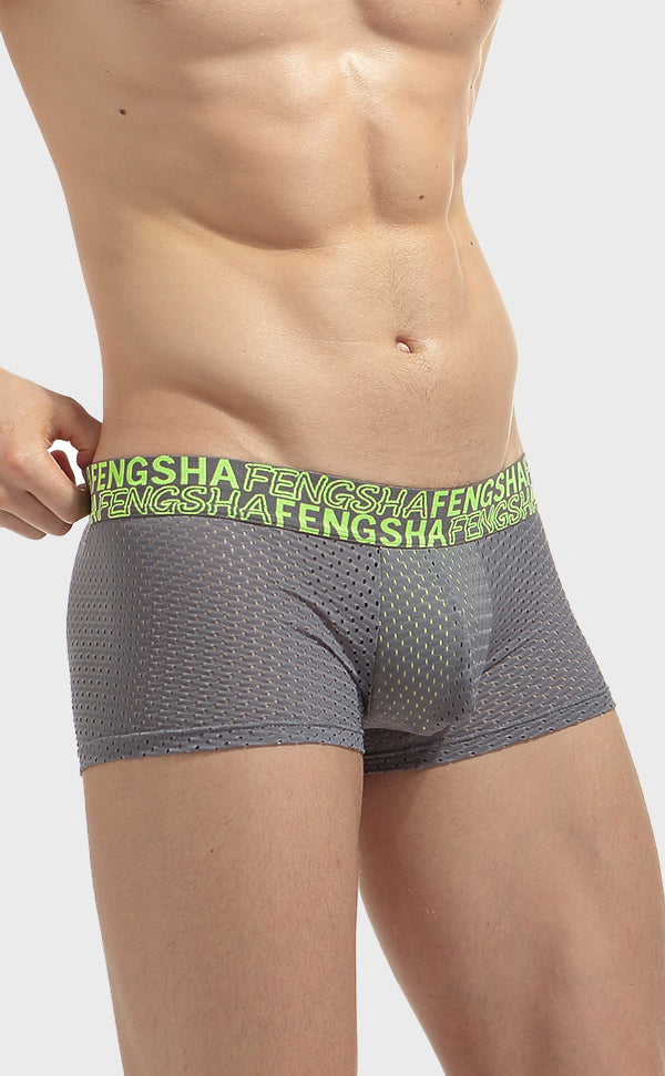 Semi Sheer Fashion Mesh Trunk for Men