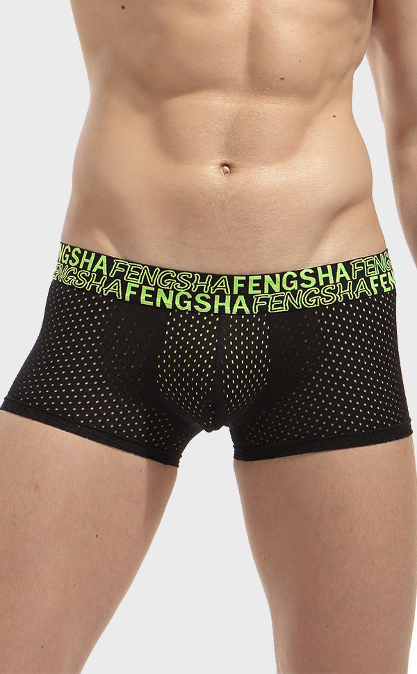 Semi Sheer Fashion Mesh Trunk for Men