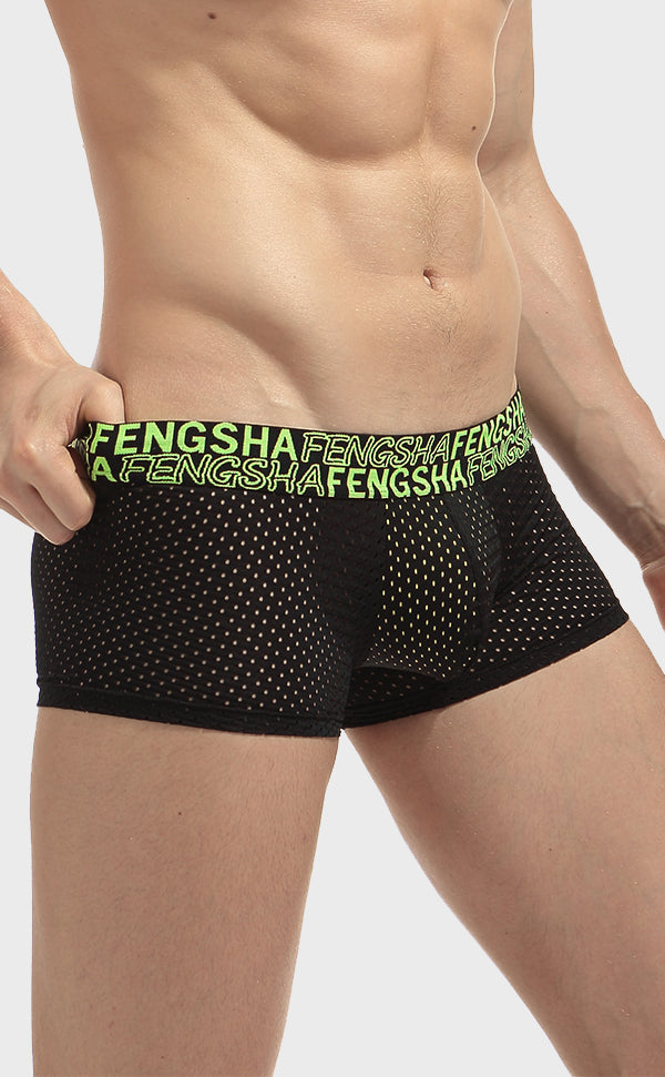 Semi Sheer Fashion Mesh Trunk for Men