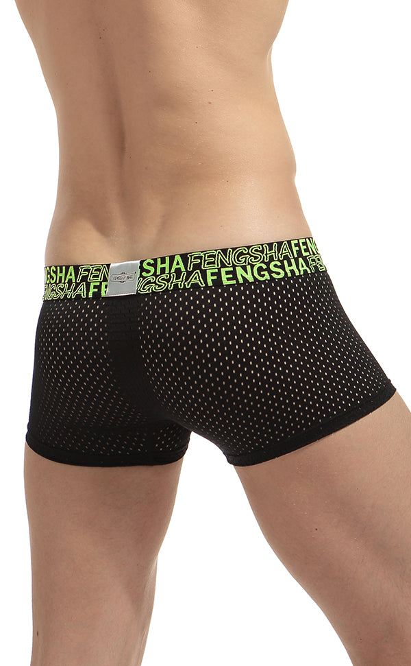 Semi Sheer Fashion Mesh Trunk for Men