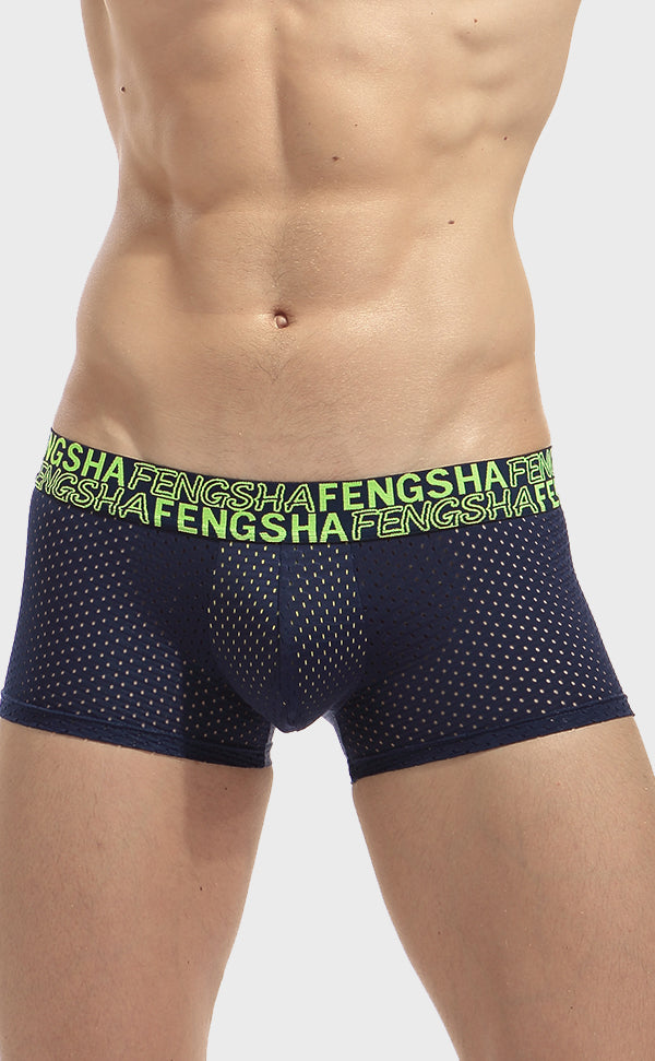 Semi Sheer Fashion Mesh Trunk for Men