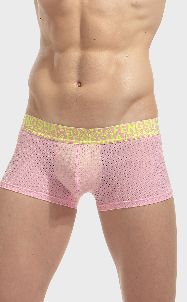 Semi Sheer Fashion Mesh Trunk for Men