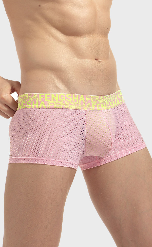 Semi Sheer Fashion Mesh Trunk for Men