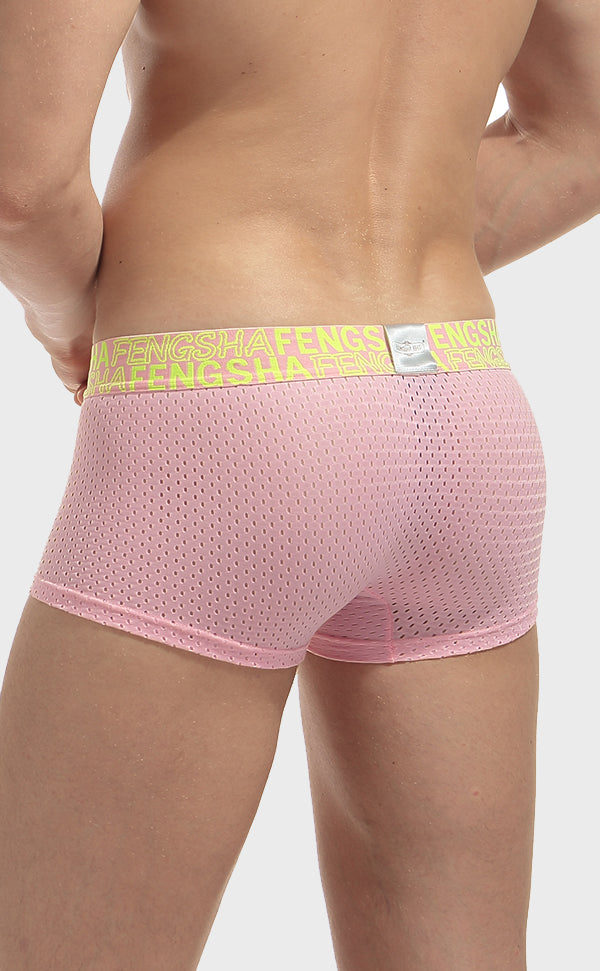 Semi Sheer Fashion Mesh Trunk for Men