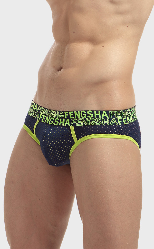 Semi Sheer Fashion Mesh Briefs for Men