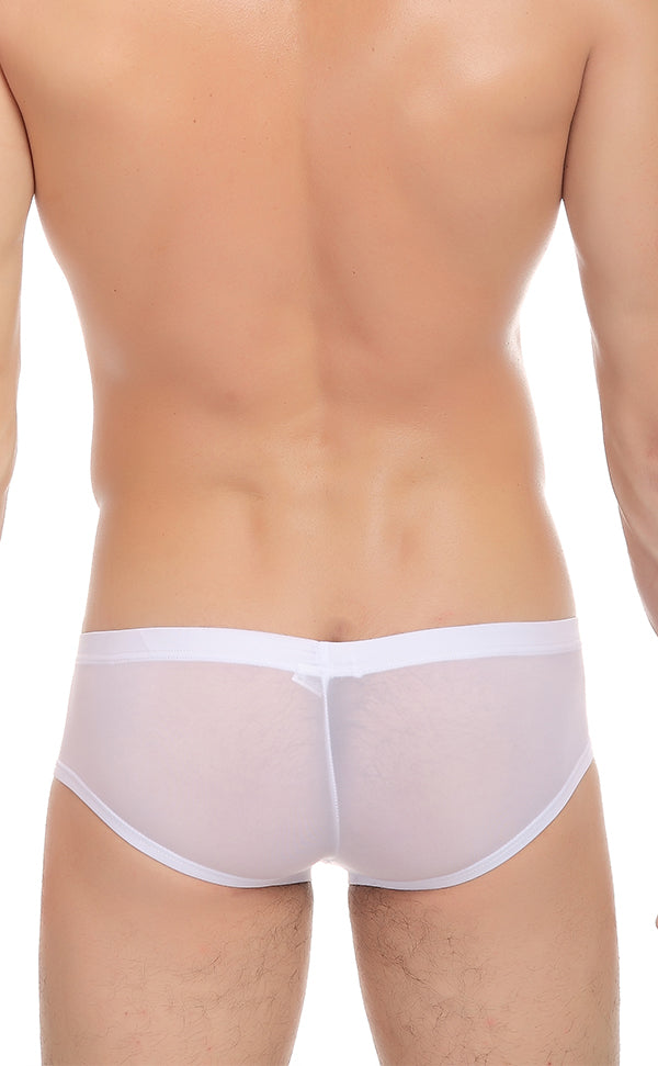 Men's Smooth See Through Micro Trunk