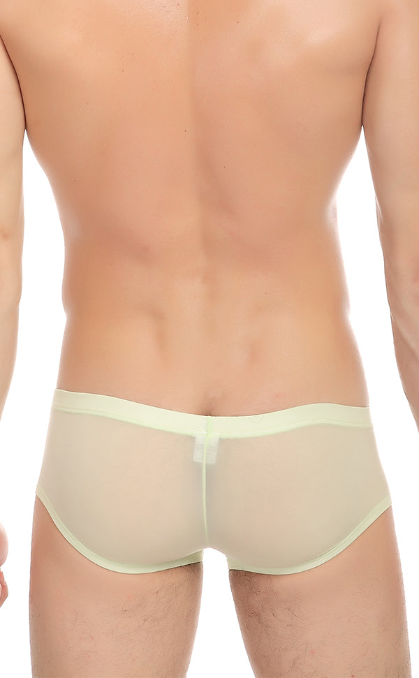 Men's Smooth See Through Micro Trunk