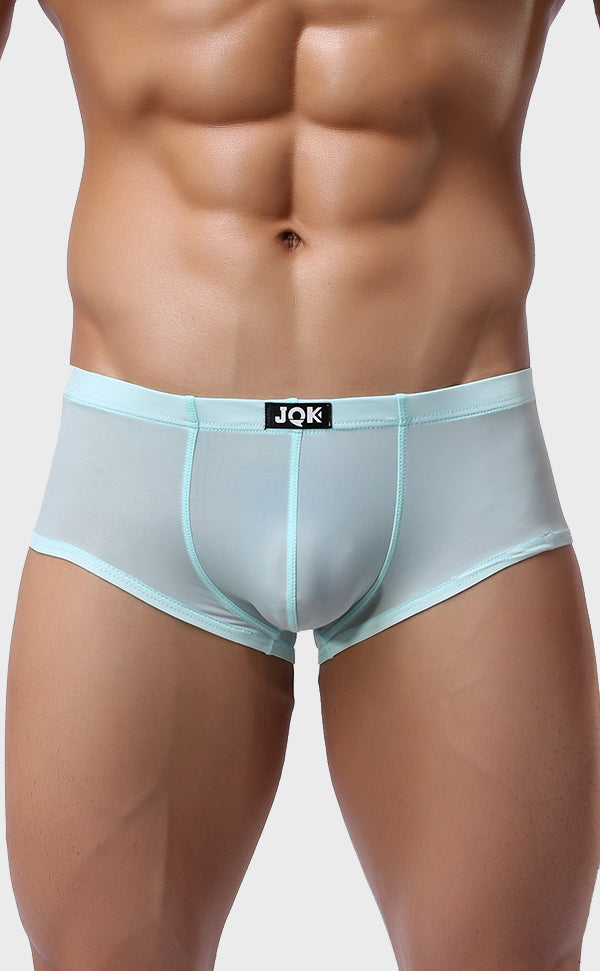 Men's Smooth See Through Micro Trunk